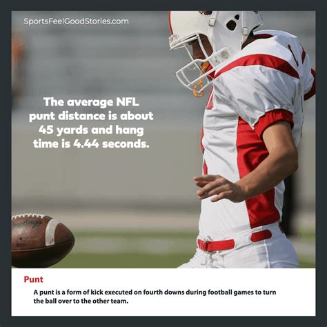 definition of punter
